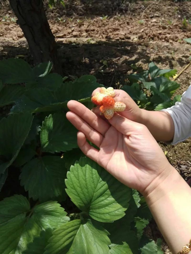 在家带小孩怎么找副业_带孩子做的兼职_在家带孩的兼职