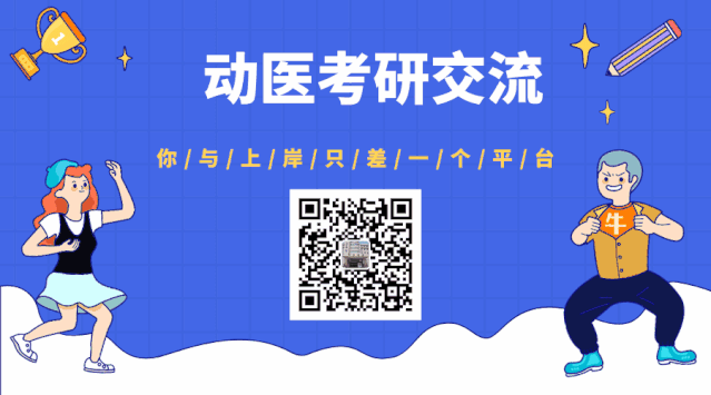 男生副业在家干什么_男生副业做什么_在家男生副业干什么好
