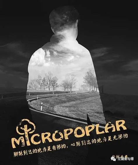 在家就能干副业的软件_在家副业挣钱_有什么副业在家就可以做的
