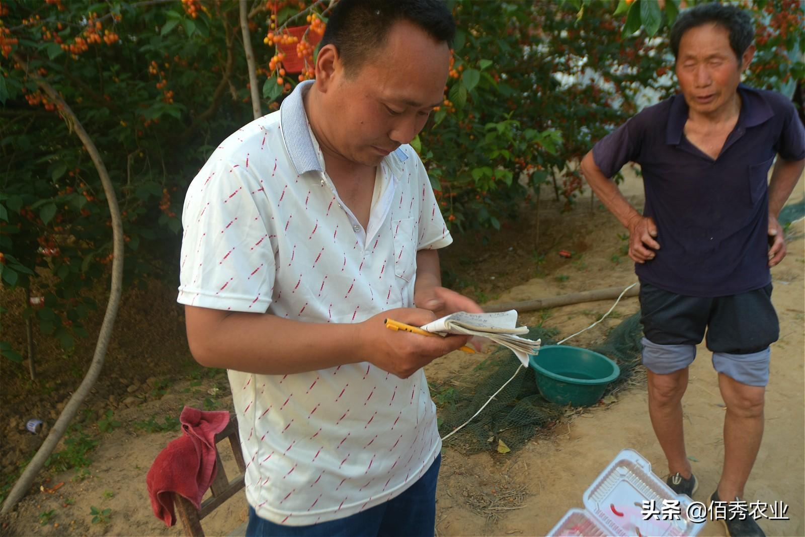 上班在家种植族副业可以吗_上班在家种植族副业赚钱吗_上班族在家副业种植