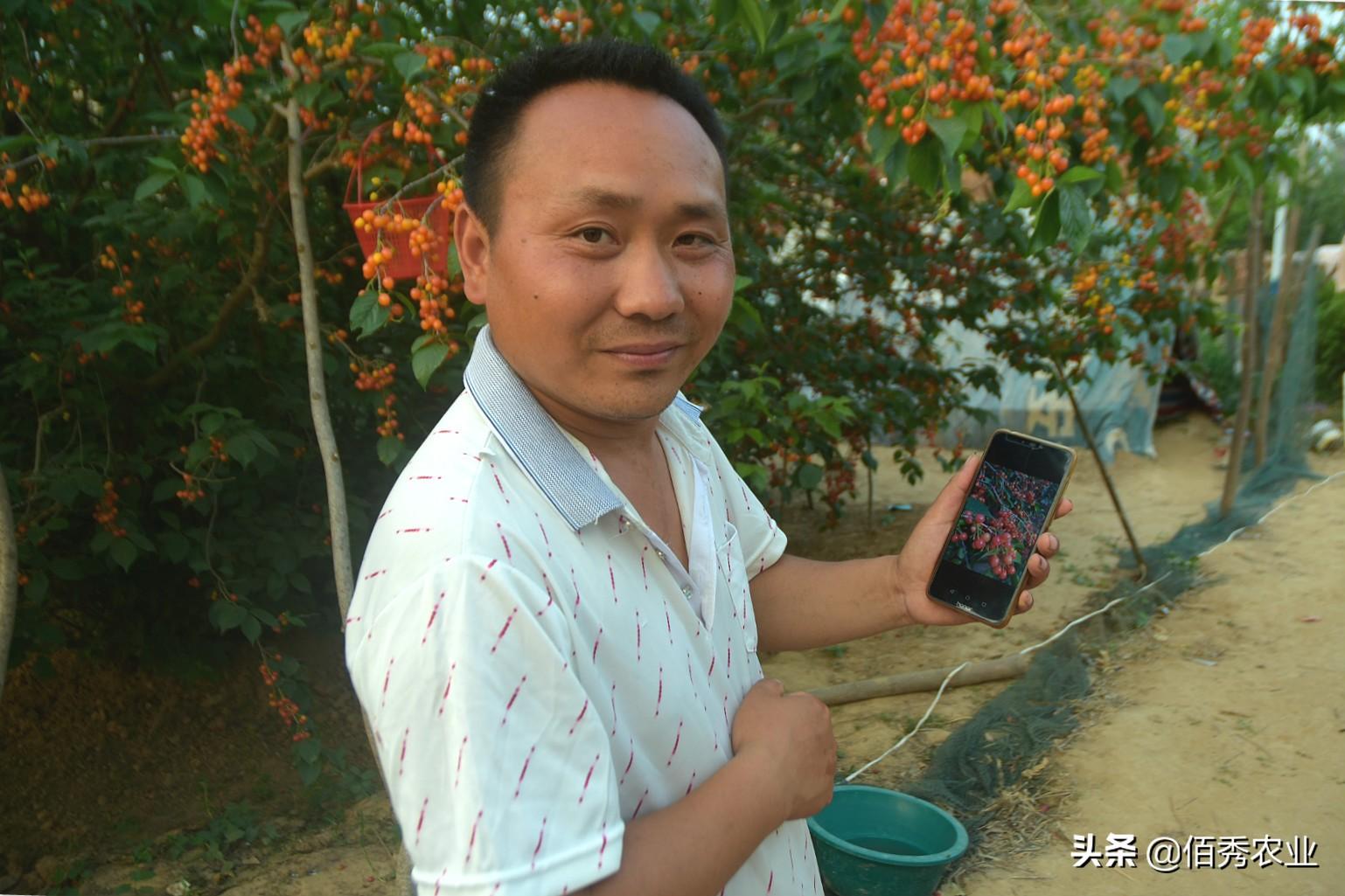 上班在家种植族副业可以吗_上班族在家副业种植_上班在家种植族副业赚钱吗