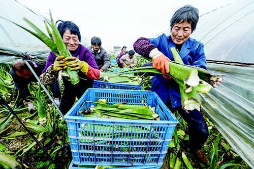 在家农村赚钱简单的副业_2020农村在家挣钱门路_农村如何在家赚钱