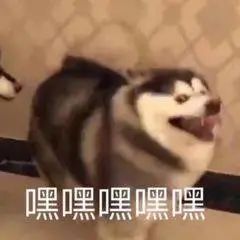 在家副业开什么店好-“我开了一家奶茶店，半年亏了20万”-优创圈
