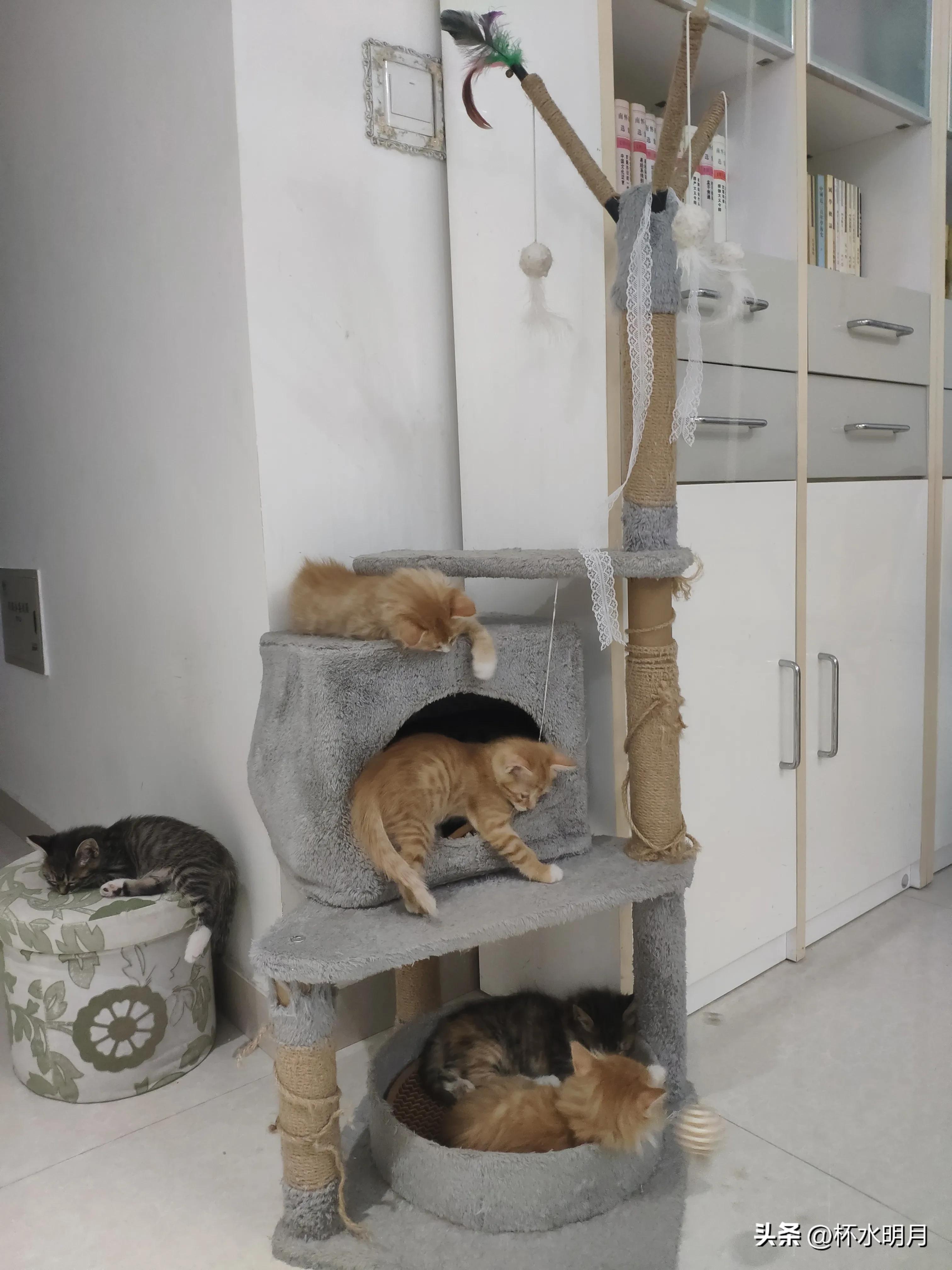 副业在家做的小生意_我想在家搞副业作文_在家的副业