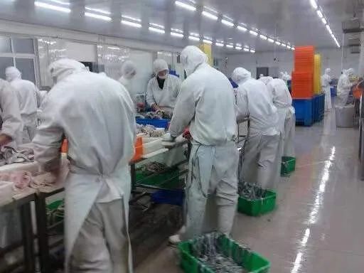 新加坡副业做点什么挣钱_新加坡在家工作副业做什么_新加坡在家副业做工作累吗