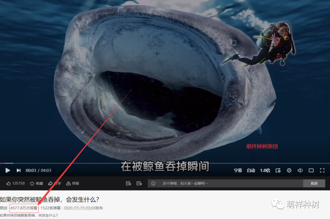 视频教程在家副业做怎么做_在家副业赚钱_在家做副业视频教程