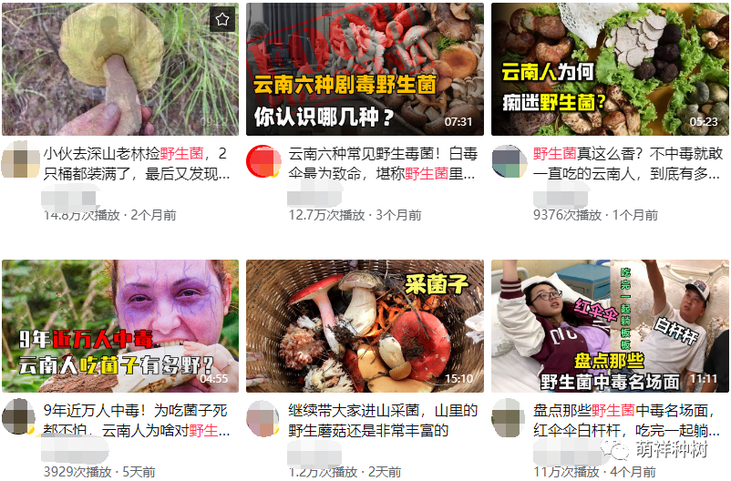 在家做副业视频教程_视频教程在家副业做怎么做_在家副业赚钱