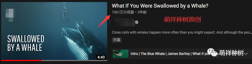 在家副业赚钱_在家做副业视频教程_视频教程在家副业做怎么做
