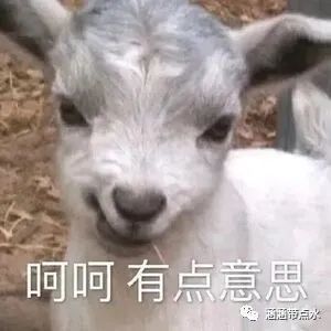图片[2]-在家里为什么要做副业-为什么你的副业一直做不起起来？-优创圈