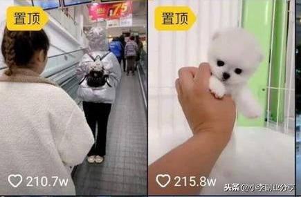 日语有什么兼职可以做_日语在家做副业推荐什么_日语在家副业推荐做什么