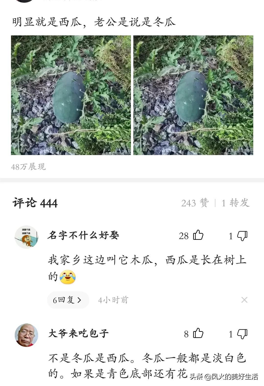 赚钱写小说软件推荐_赚钱怎么写_赚钱写字
