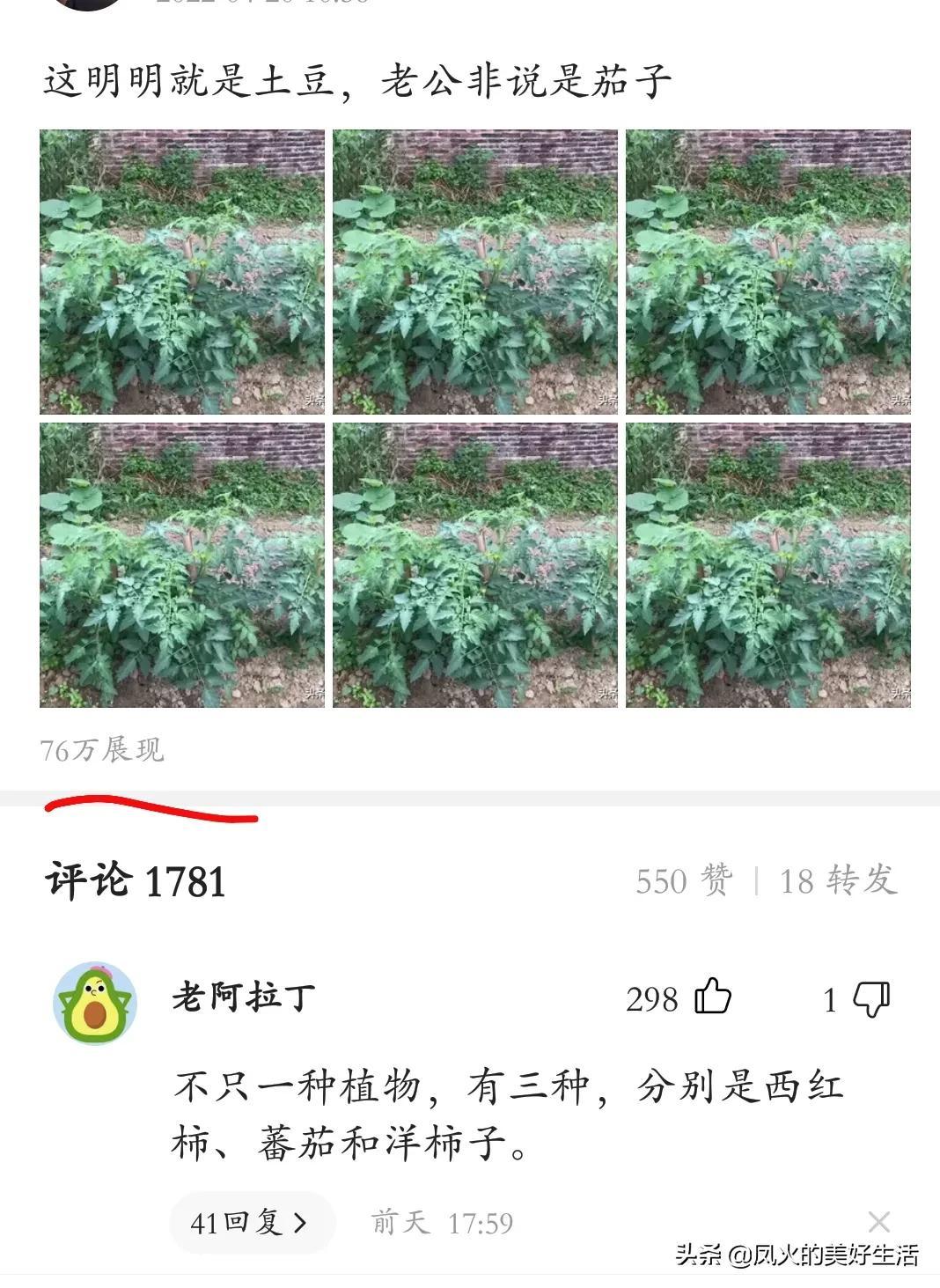 赚钱写小说软件推荐_赚钱怎么写_赚钱写字