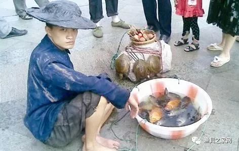 捕鱼赚钱游戏赚微信红包_捕鱼赚钱软件下载_捕鱼怎么赚钱