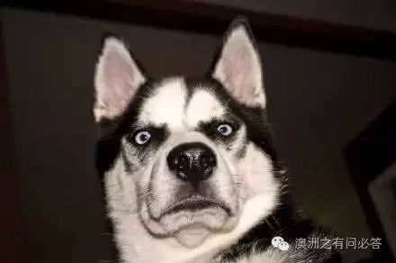 做代购赚的是什么钱_代购赚啥钱_怎么做代购赚钱