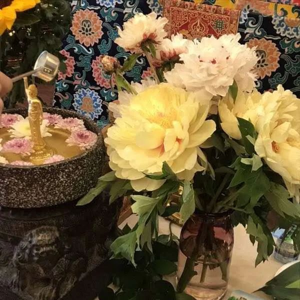 图片[16]-装修公司怎么赚钱-从IT白领到装修民工，没有什么比活下去更重要丨人间-优创圈