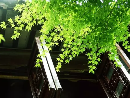 不知道怎么赚钱_知道赚钱的辛苦_你知道赚钱