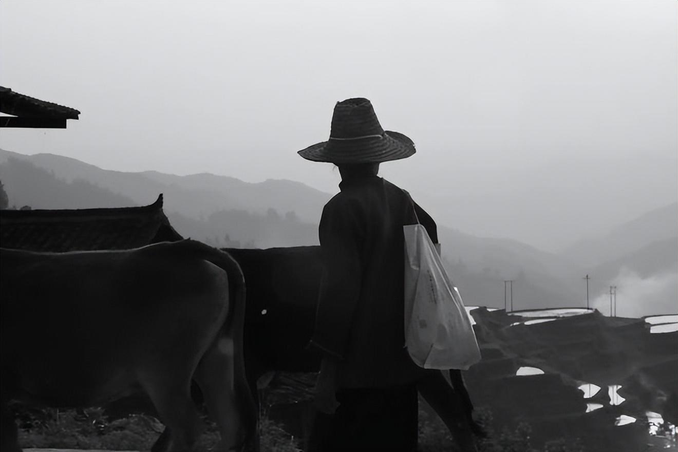 旅拍赚钱平台有哪些_旅拍赚钱么_旅拍怎么赚钱