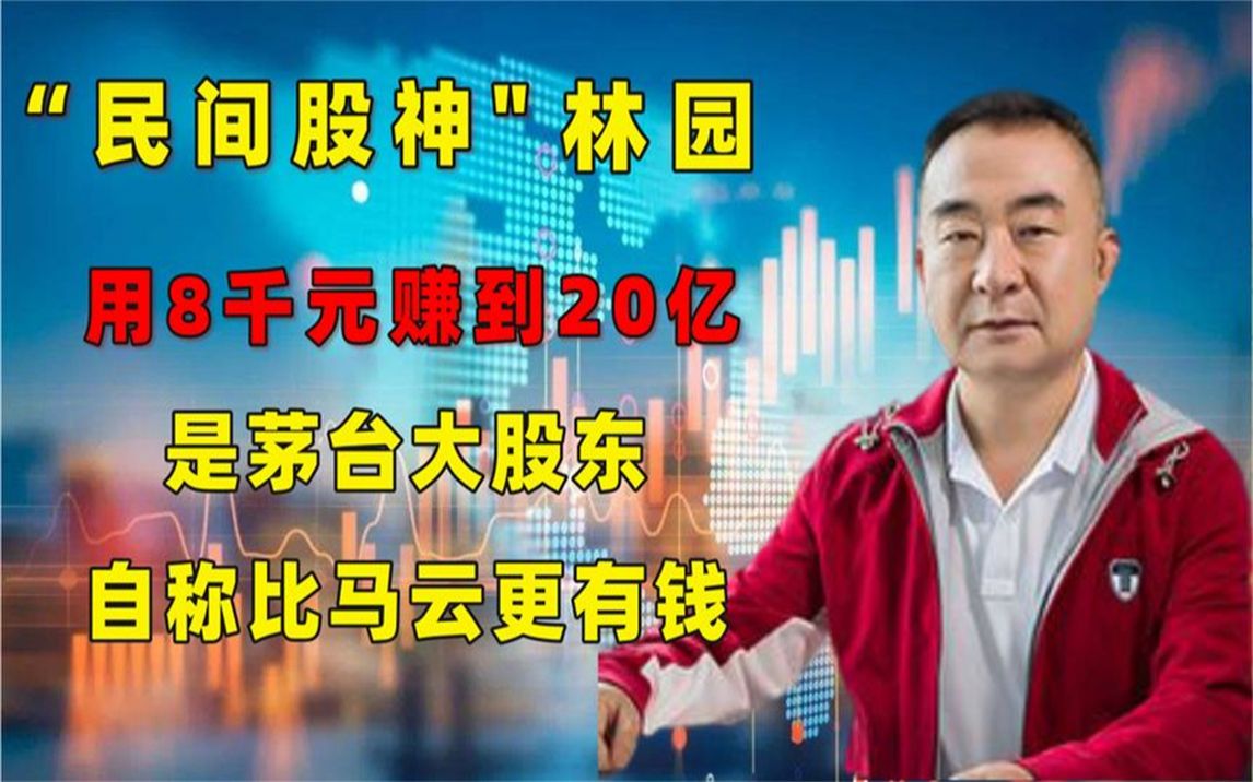 股票公司怎么赚钱_搞股票的公司_赚钱股票