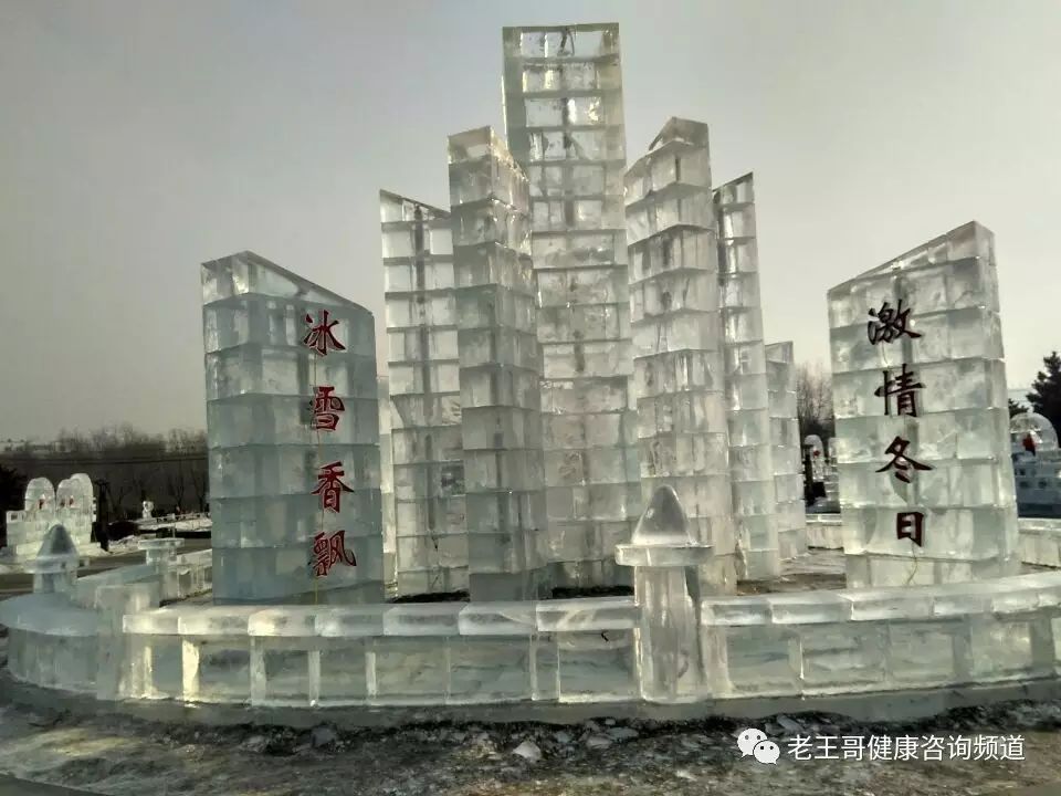 地堡收益计算_地堡怎么赚钱_地堡怎么挂机赚钱