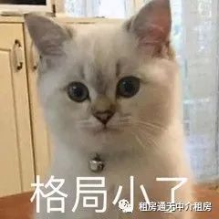 中介租房赚钱还是卖房赚钱_租房中介怎么赚钱_中介租房赚什么钱