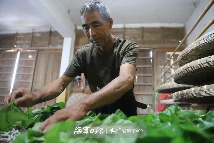 养蚕怎么赚钱-47年！海宁这个农民为繁荣蚕桑文化坚守一辈子-优创圈