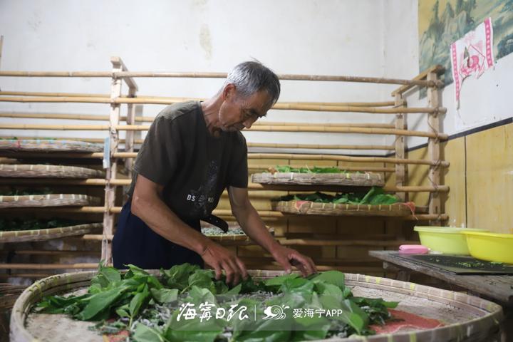 图片[4]-养蚕怎么赚钱-47年！海宁这个农民为繁荣蚕桑文化坚守一辈子-优创圈