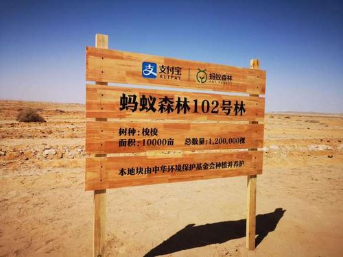 蚂蚁森林赚钱方法_蚂蚁森林赚钱软件_蚂蚁森林怎么赚钱