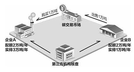 蚂蚁森林赚钱方法_蚂蚁森林赚钱软件_蚂蚁森林怎么赚钱