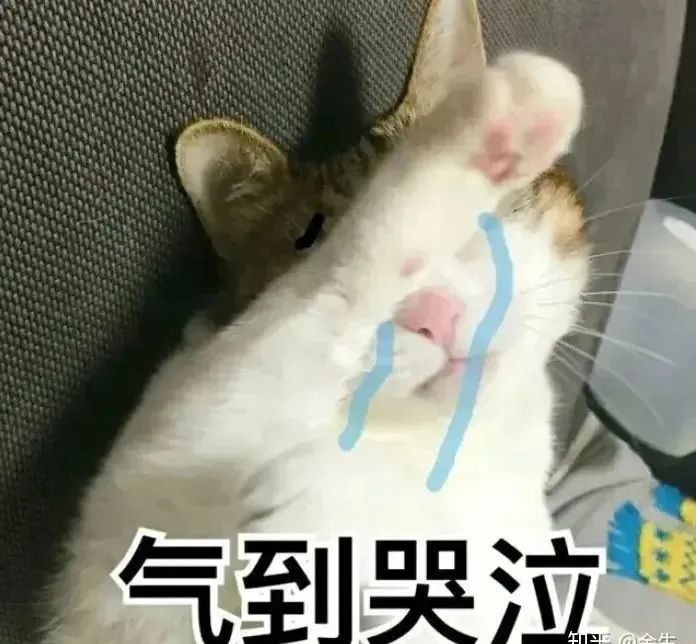 在校大学生怎么赚钱_在读大学生赚钱_在校赚钱大学生多吗