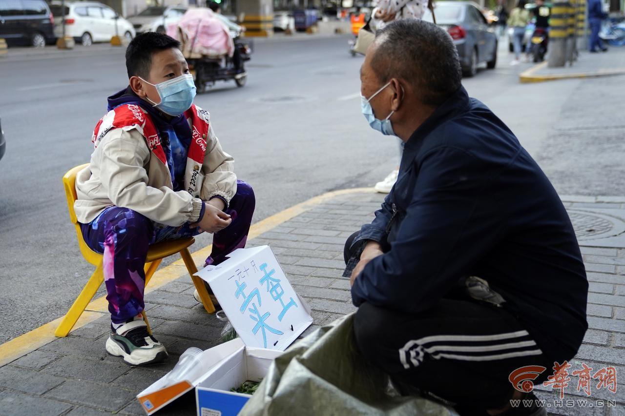 养蚕赚钱不_养蚕怎么赚钱_养蚕能赚多少钱