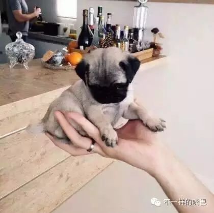 怎么写东西赚钱_赚钱写字_用钱赚钱的书写的好吗