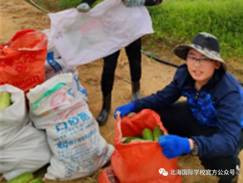 初一怎么赚钱_初一赚钱好不好_初一赚钱的方法