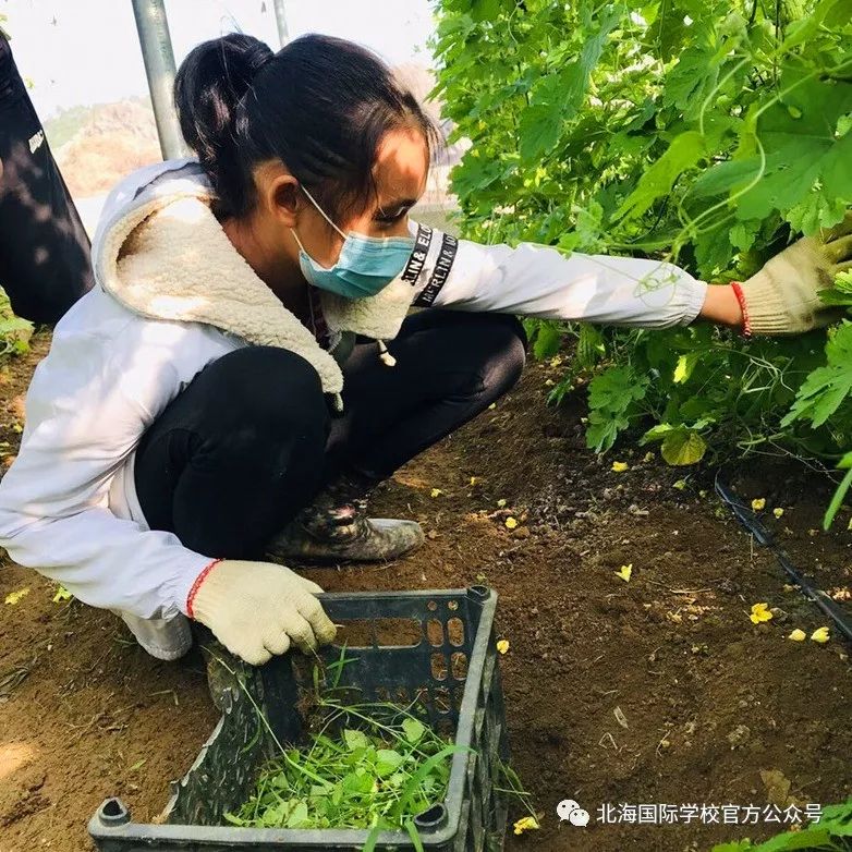 初一赚钱的方法_初一怎么赚钱_初一赚钱好不好