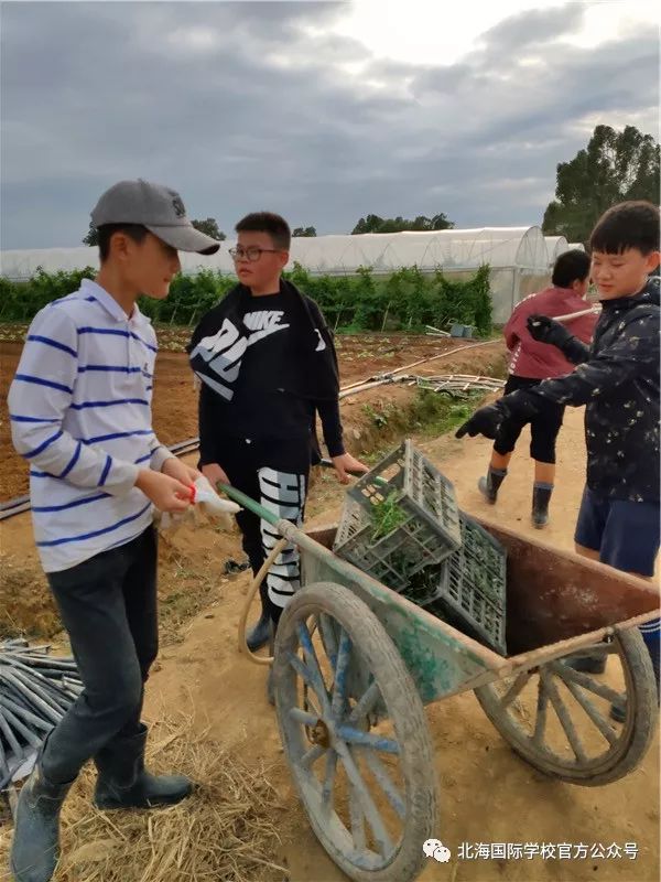 初一赚钱好不好_初一赚钱的方法_初一怎么赚钱
