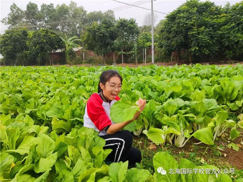 初一赚钱的方法_初一怎么赚钱_初一赚钱好不好