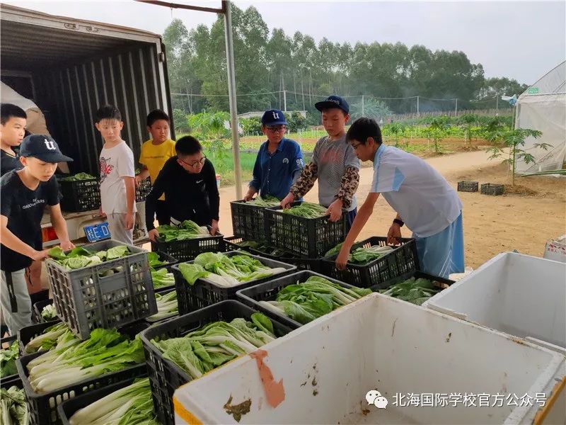 初一赚钱好不好_初一赚钱的方法_初一怎么赚钱