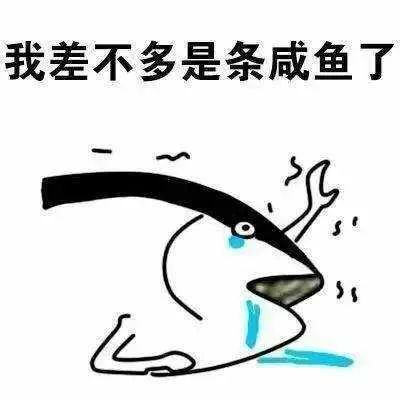 咸鱼网怎么赚钱_赚钱咸鱼app_咸鱼赚钱的路子