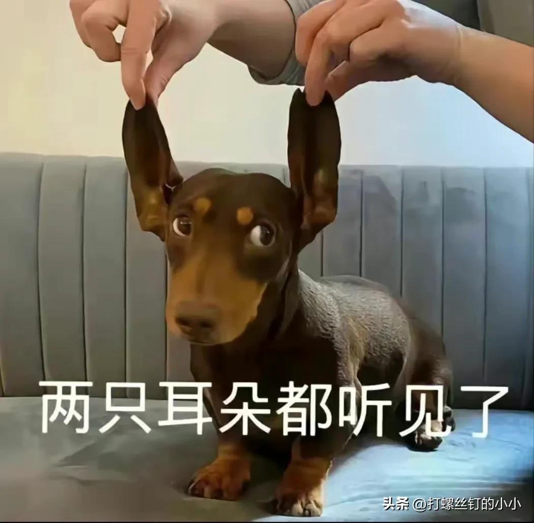作家助手怎么赚钱-今日头条，抖音中视频计划，写小说这些赚钱的渠道你都试过几个？-优创圈