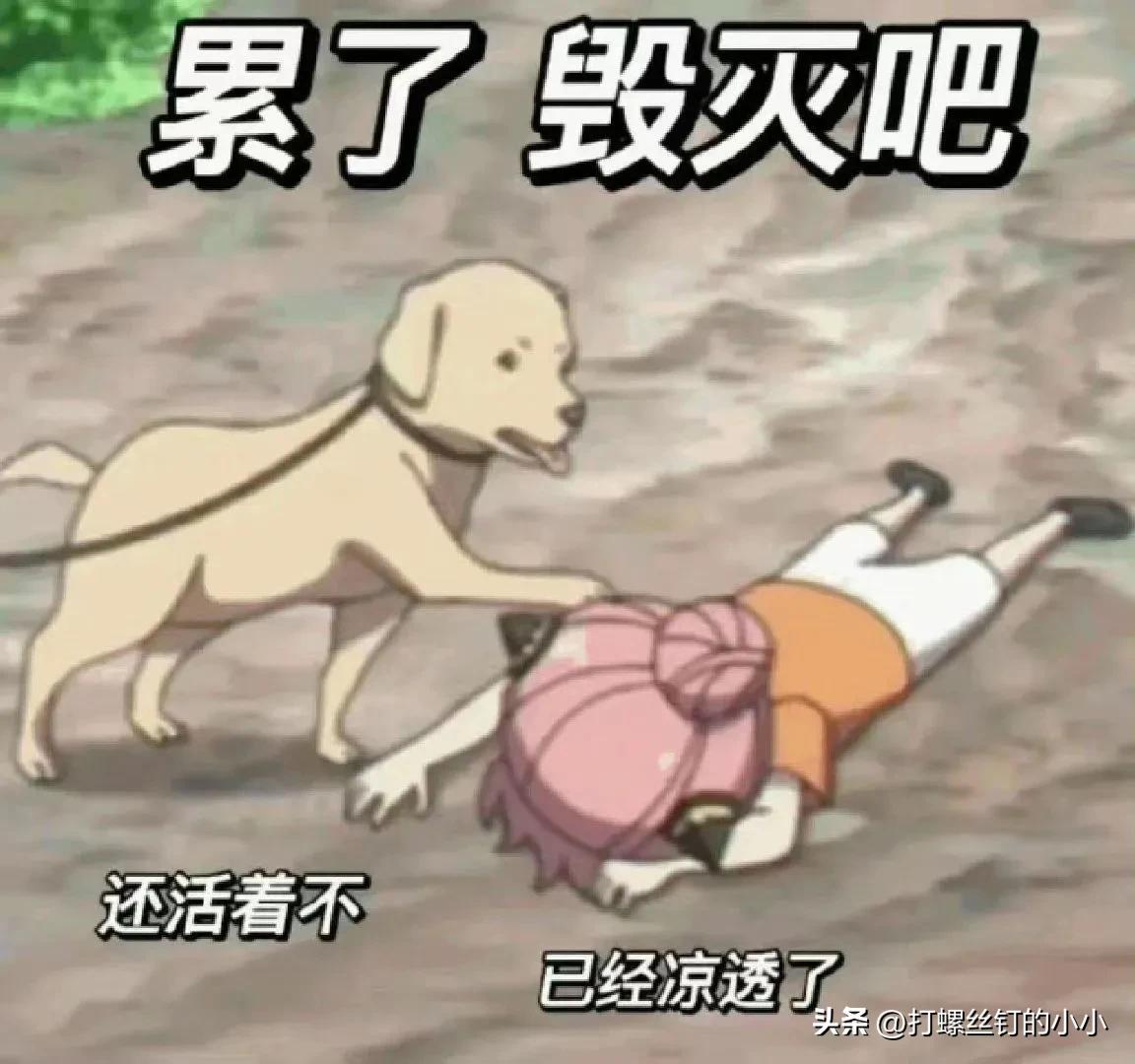 作家助手能赚多少钱_作家助手怎么赚钱_作家助手赚钱吗