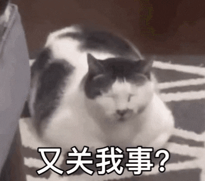 赚钱钱暴富富图片_1000块钱怎么赚钱_我要赚钱钱