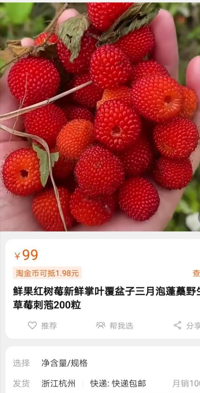 水果赚钱软件_水果怎么赚钱_水果赚钱还是蔬菜赚钱