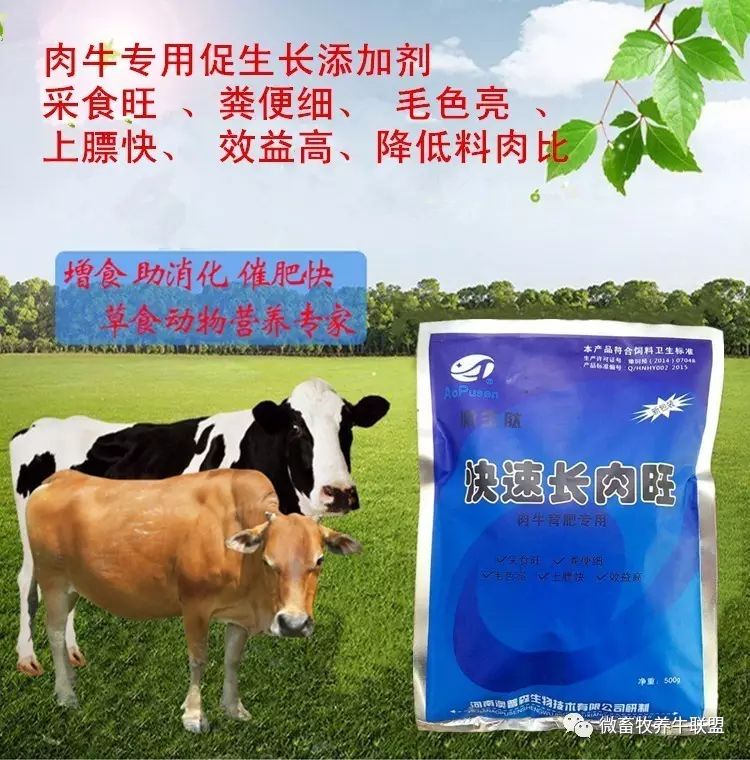 赚钱平台网站2020_赚钱网是真的吗_有赚网怎么赚钱