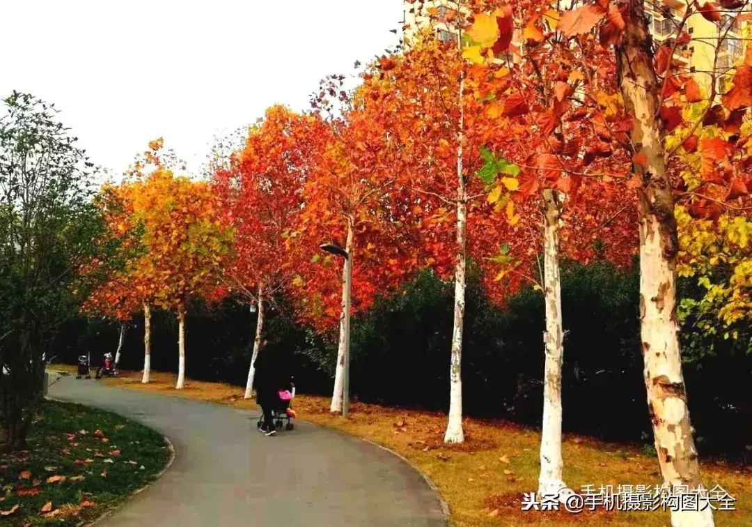 最美副业图片_最美副业跑路了吗_最美副业最近有消息吗