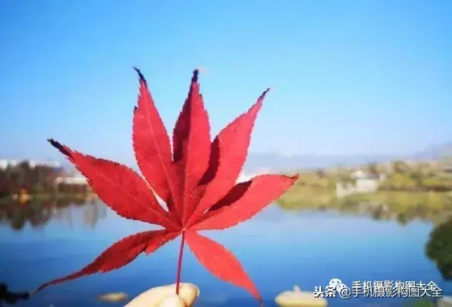 最美副业图片_最美副业最近有消息吗_最美副业跑路了吗