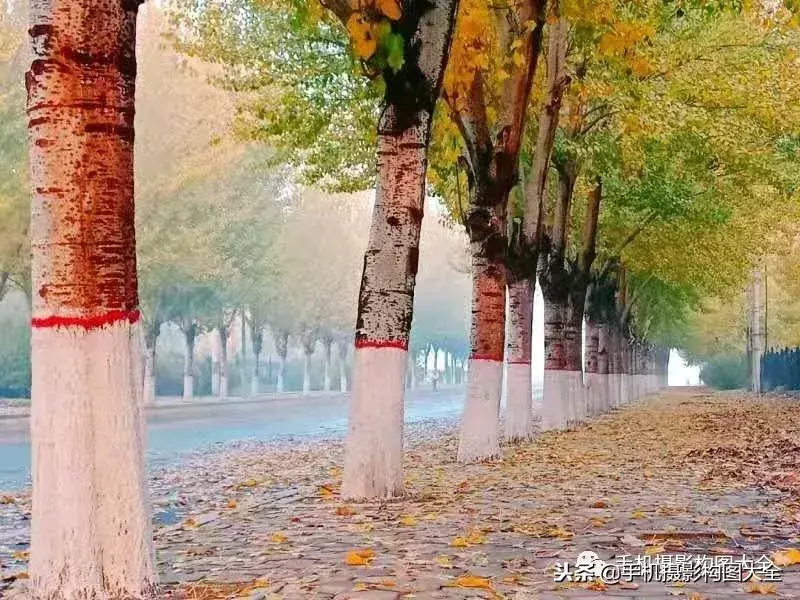 最美副业最近有消息吗_最美副业图片_最美副业跑路了吗