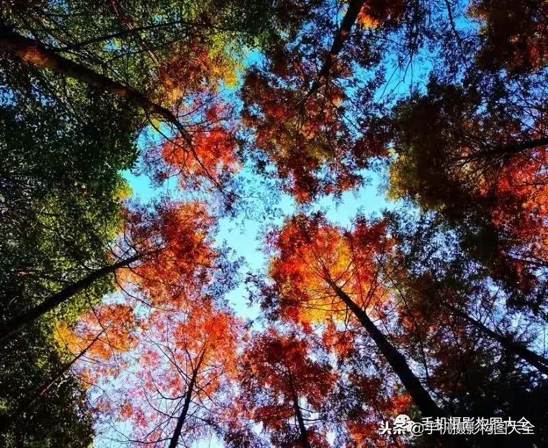 最美副业图片_最美副业跑路了吗_最美副业最近有消息吗