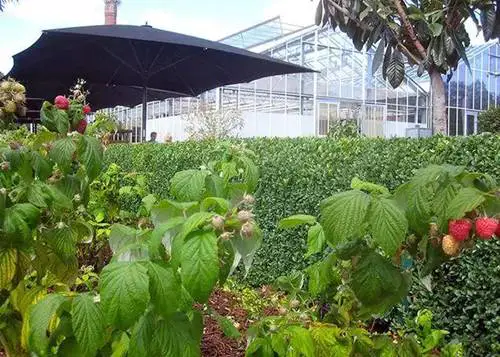 qq农场怎么赚钱快_农场赚钱吗_农场赚钱提现游戏