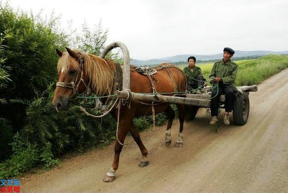 广义的农业中副业是指什么_农业中的副业是什么意思_什么是农副业