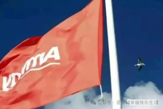 安利是怎么赚钱的_做安利能赚多少钱_安利是什么模式赚钱的