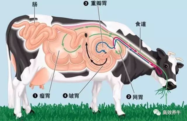 微牛怎么赚钱_港股牛熊证有赚钱的吗_赚钱的微信